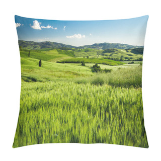 Personality  Green Fields Of Wheat In Tuscany, Italy Pillow Covers