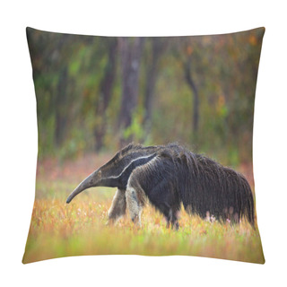 Personality  Anteater, Cute Animal From Brazil. Running Giant Anteater, Myrmecophaga Tridactyla, Animal With Long Tail And Log Nose, In Nature Forest Habitat, Pantanal, Brazil. Wildlife South America. Funny Image. Pillow Covers