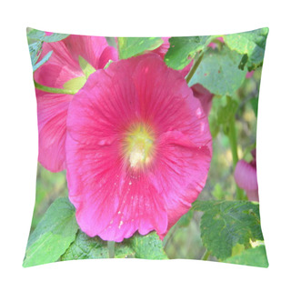 Personality Pink Flower Pillow Covers