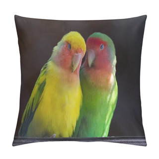 Personality  Two Rosy-faced Lovebirds In Love Pillow Covers