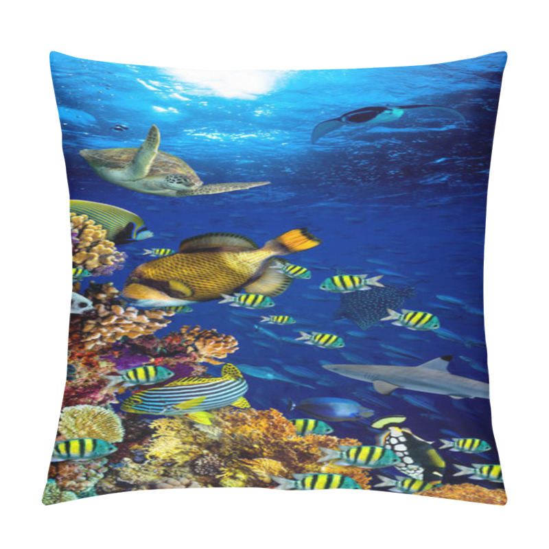 Personality  Underwater Coral Reef Landscape  Pillow Covers