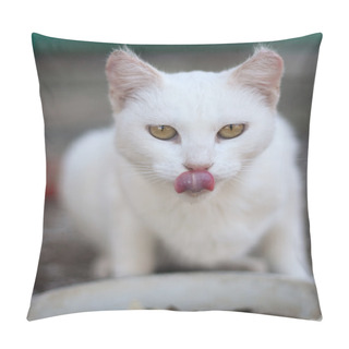 Personality  Cat Eating Pillow Covers