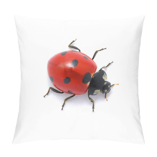 Personality  Ladybug On White Pillow Covers