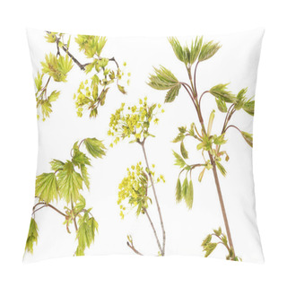 Personality  Blossoming Maple Tree Branches Set Pillow Covers