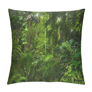 Personality  Tropical Rain Forest In Asia Pillow Covers