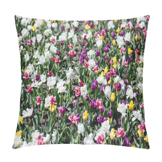 Personality  Beautiful Colorful Tulips Field At Daytime Pillow Covers