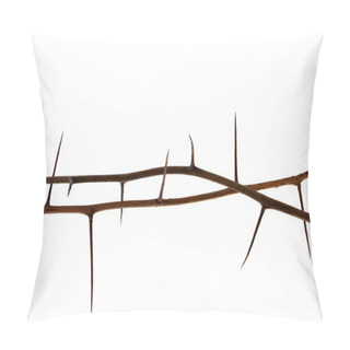 Personality  Two Thorny Tree Twigs Pillow Covers