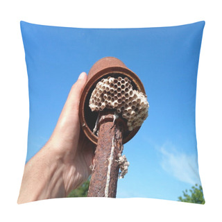 Personality  The Nest Wasps Polistov. Vespiary Pillow Covers