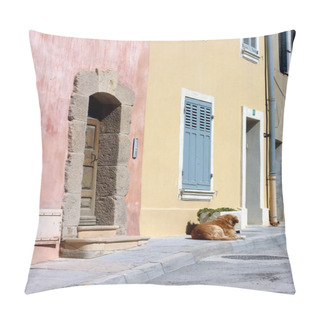 Personality  Quiet Dog Pillow Covers