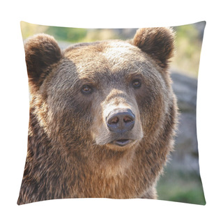 Personality  Brown Bear Portrait Close Up Pillow Covers