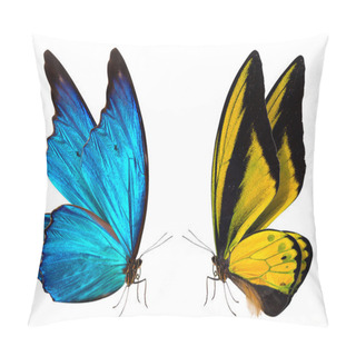 Personality  Butterfly Macro Background Pillow Covers
