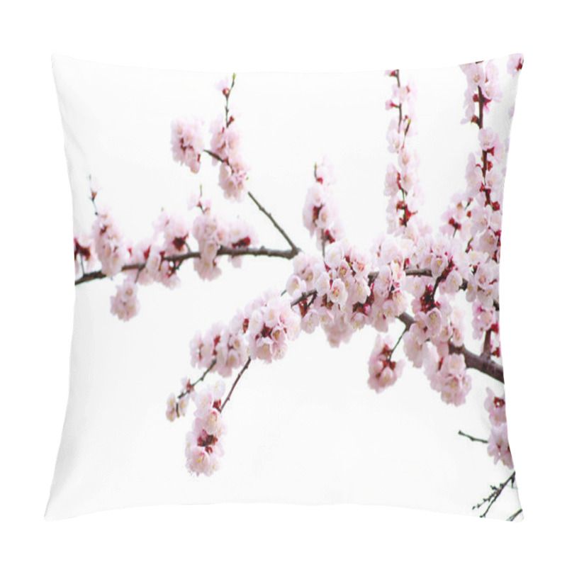 Personality   pink blossoms  pillow covers