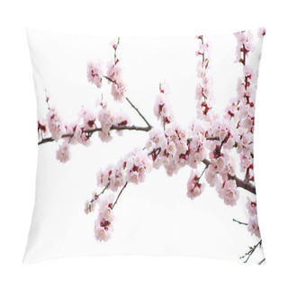 Personality   Pink Blossoms  Pillow Covers