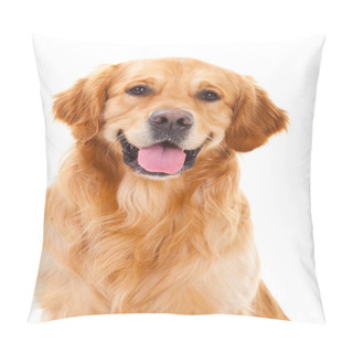 Personality  Golden Retriever Dog Sitting On Isolated White Pillow Covers