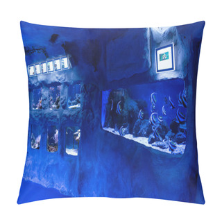 Personality  Fishes Swimming Under Water In Aquariums With Blue Lighting In Oceanarium Pillow Covers