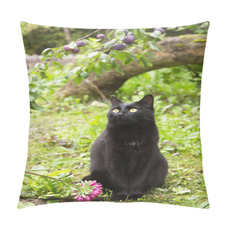 Personality  Beautiful Black Bombay Cat With Yellow Eyes Sit Outdoors In Nature In Autumn Summer Garden With Flowers Under Plum Tree Pillow Covers