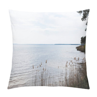 Personality  Reeds Near Blue Lake Against Sky With Clouds  Pillow Covers
