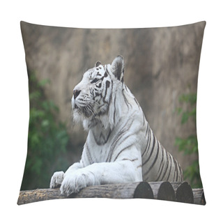 Personality  White Albino Tiger Pillow Covers
