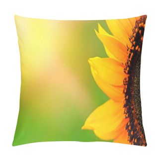 Personality  Babbling Yellow Sunflower Close-up On A Green Background With Sunshine, Wide Horizontal Banner With Free Space For Text Pillow Covers