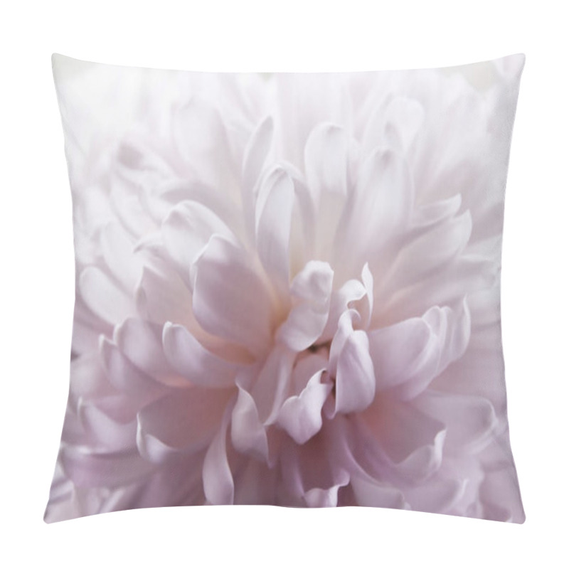 Personality  Close up macro of flower petals chrysanthemum in pink and white full bloom. pillow covers