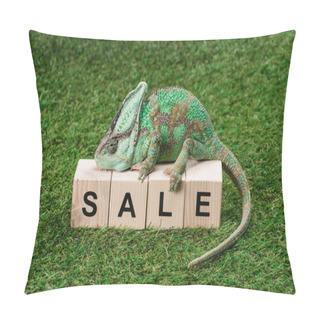 Personality  Beautiful Bright Green Chameleon Sitting On Wooden Cubes With Word Sale Pillow Covers