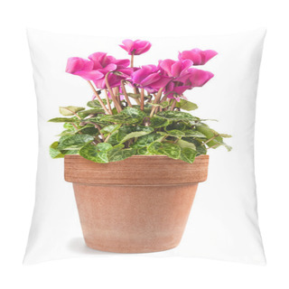 Personality  Cyclamen In Vase Pillow Covers