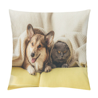 Personality  Funny Pets Lying Under Blanket On Sofa  Pillow Covers