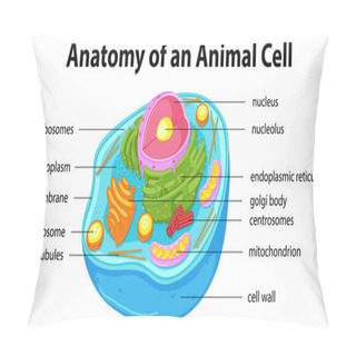 Personality  Diagram Showing Anatomy Of Animal Cell Pillow Covers