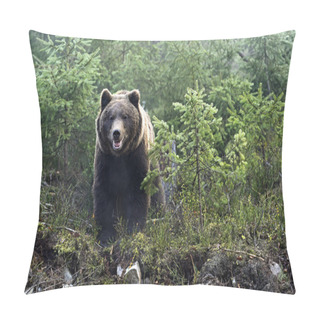 Personality  Brown Bear Pillow Covers