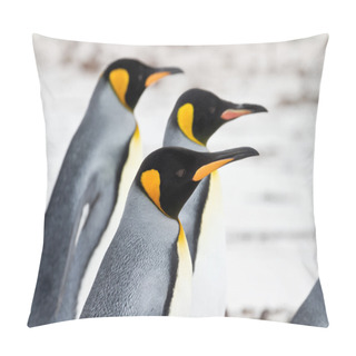 Personality  Three King Penguins Walking On The Beach Closeup Pillow Covers