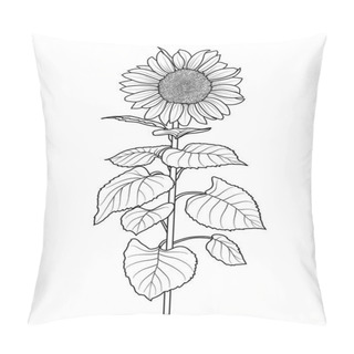 Personality  Sunflower For Coloring Book Idolated On White Background Vector Pillow Covers