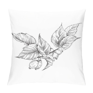 Personality  Hip Rose Buds, Berry And Branches. Vintage Botanical Engraved Illustration. Vector Hand Drawn Natural Elements. Sketch Style. Pillow Covers