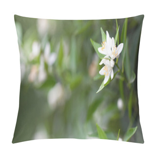 Personality  Citrus Flowers Pillow Covers