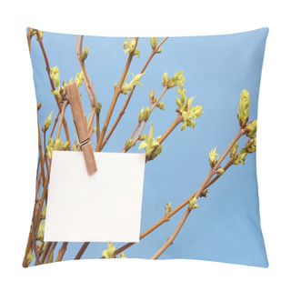 Personality  Message Written  White Card Hanging On Green Leafy Branch By Wooden Clothes Peg. Pillow Covers