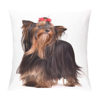 Personality  Yorkshire Terrier Pillow Covers