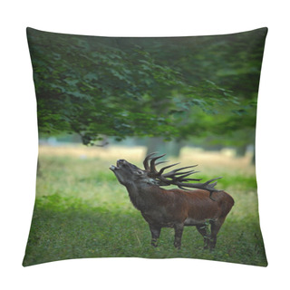 Personality  Powerful Adult Red Deer Pillow Covers