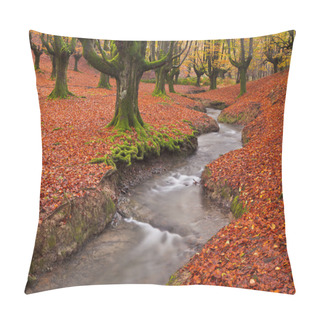 Personality  Fall In The Forest Pillow Covers