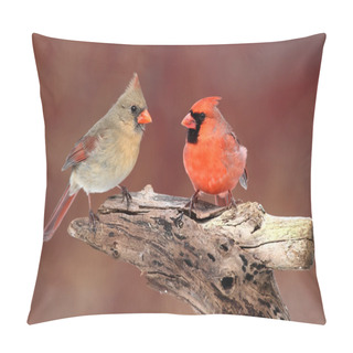 Personality  Pair Of Northern Cardinals Pillow Covers