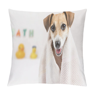 Personality  Clean Pet Pillow Covers