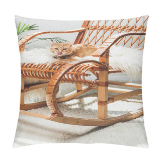 Personality  Cute Red Cat Licking Muzzle And Lying On Rocking Chair Pillow Covers
