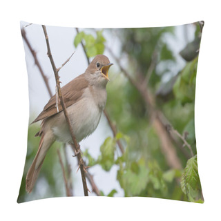 Personality  Nightingale Singing At Pulborough Brooks RSPB Reserve Pillow Covers