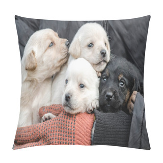 Personality  Bunch Of Little Puppies In Human Hands Pillow Covers