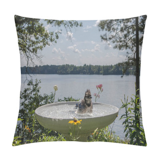 Personality  Blue Jay Splashes About Cleaning Itself By The Lake In A Bird Bath. Pillow Covers