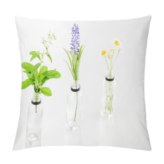 Personality  Salvia, Hyacinth And Chamomile Plants In Transparent Bottles On White Background  Pillow Covers