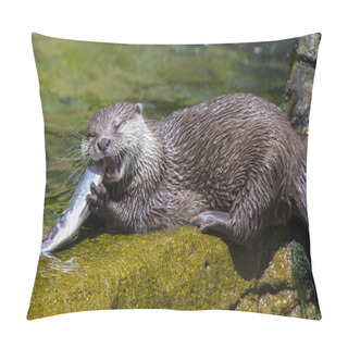 Personality  An Otter Eating A Fish. Pillow Covers