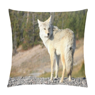 Personality  Yellowstone Wolf Pillow Covers