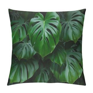 Personality  Large Green Monstera Leaves On A Dark Background Pillow Covers