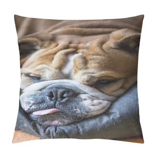 Personality  Bulldog Pillow Covers