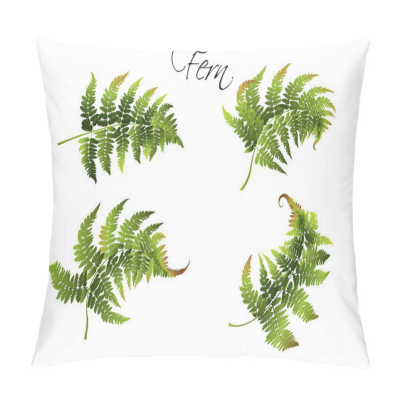 Personality  Fern illustration set pillow covers