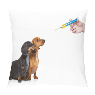 Personality  Ill Sick Dogs With Illness And Vaccine Syringe Pillow Covers